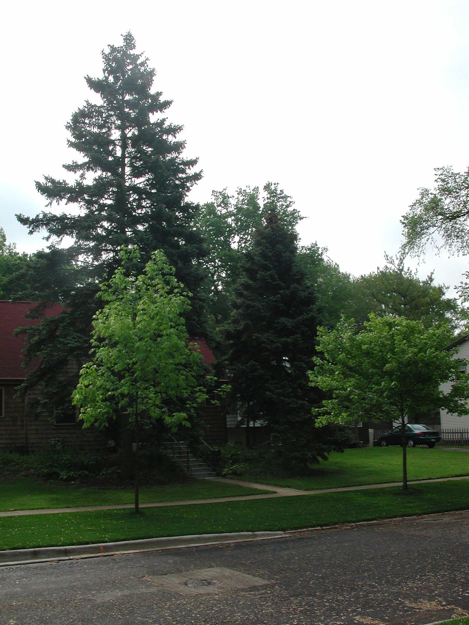 DSCN3060
