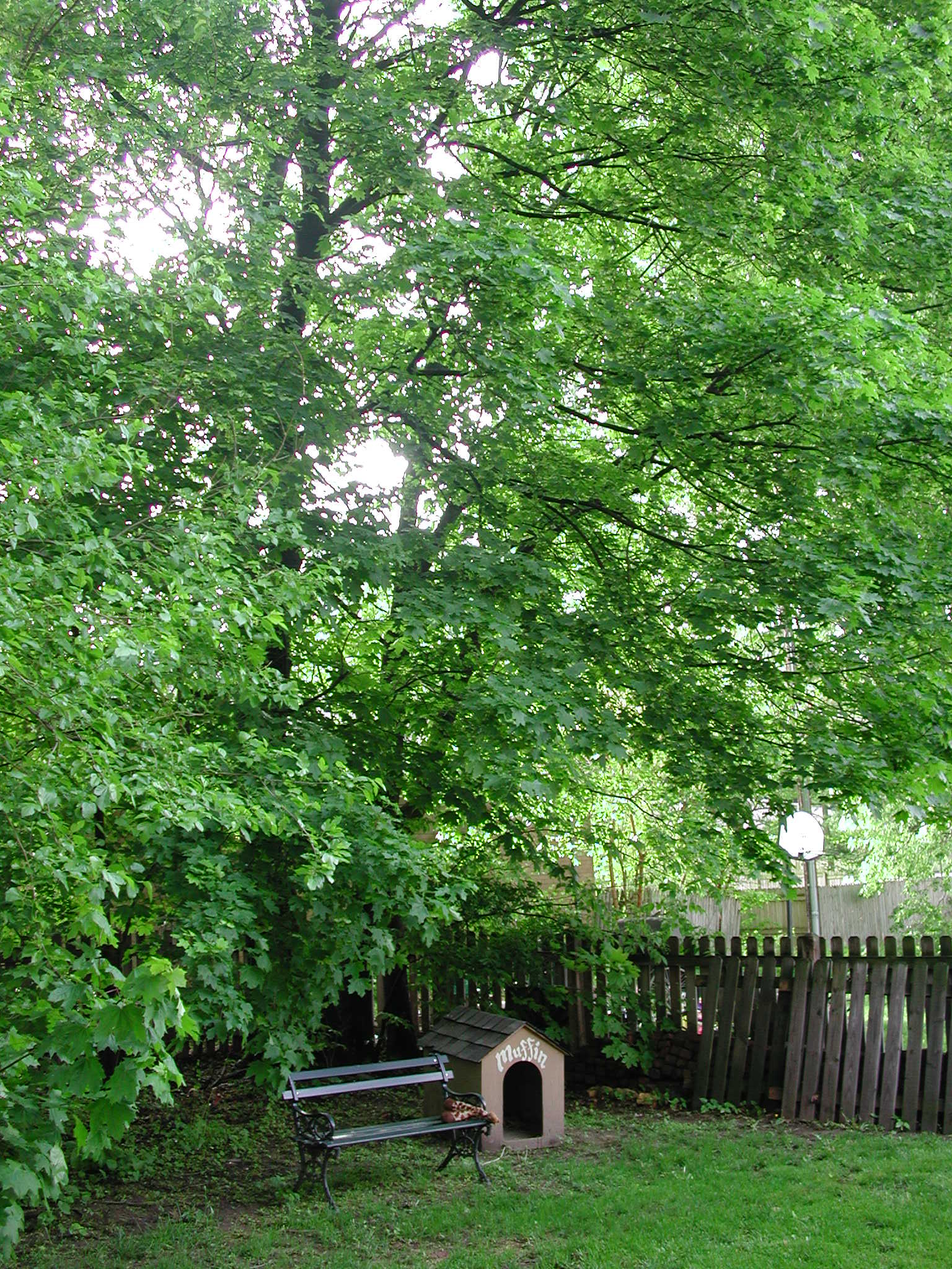 DSCN3072