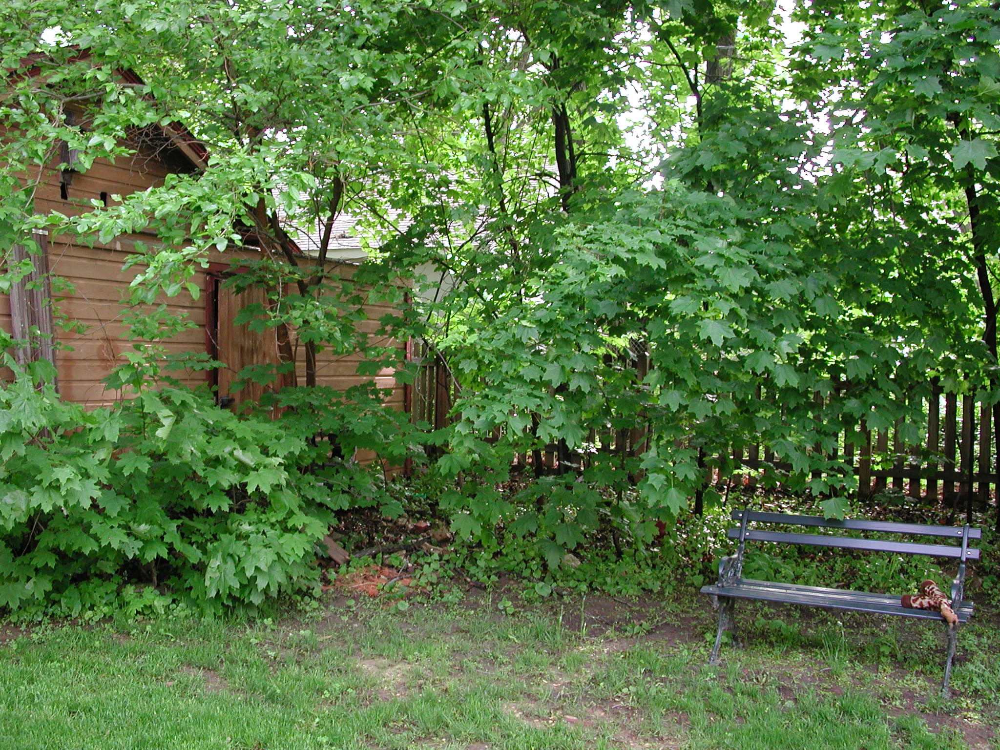 DSCN3076