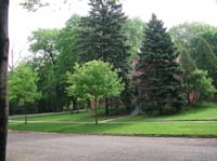 DSCN3062