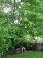 DSCN3072