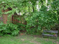 DSCN3076