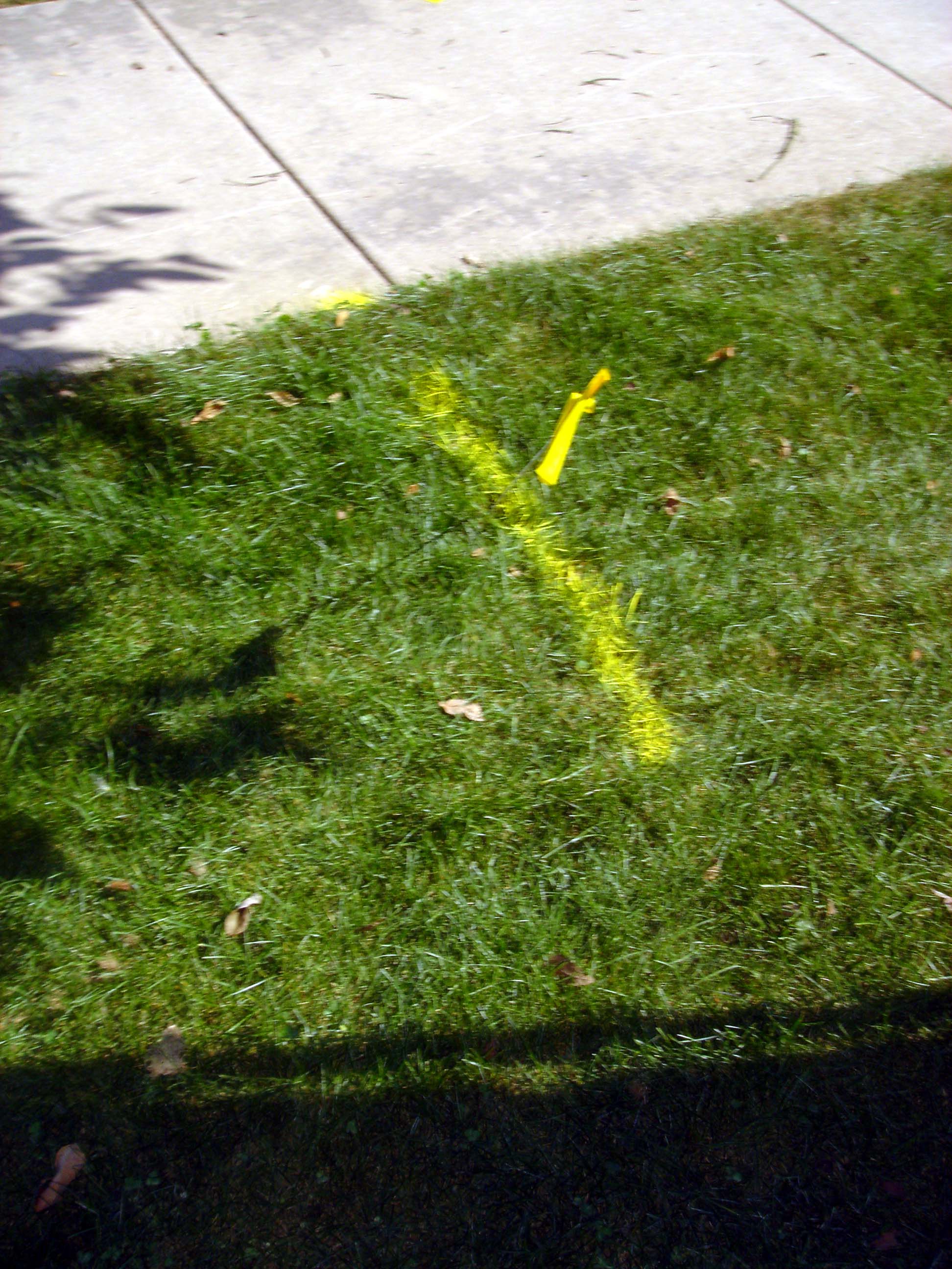 DSC00900