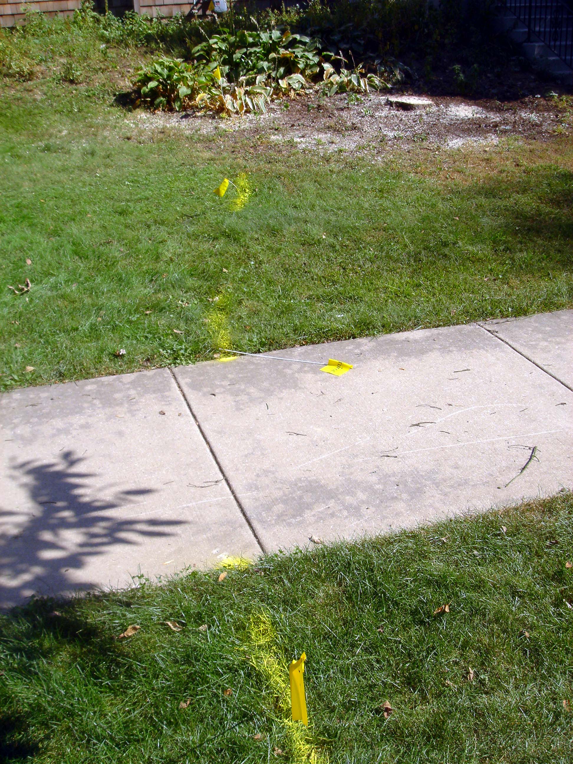 DSC00901