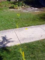 DSC00901