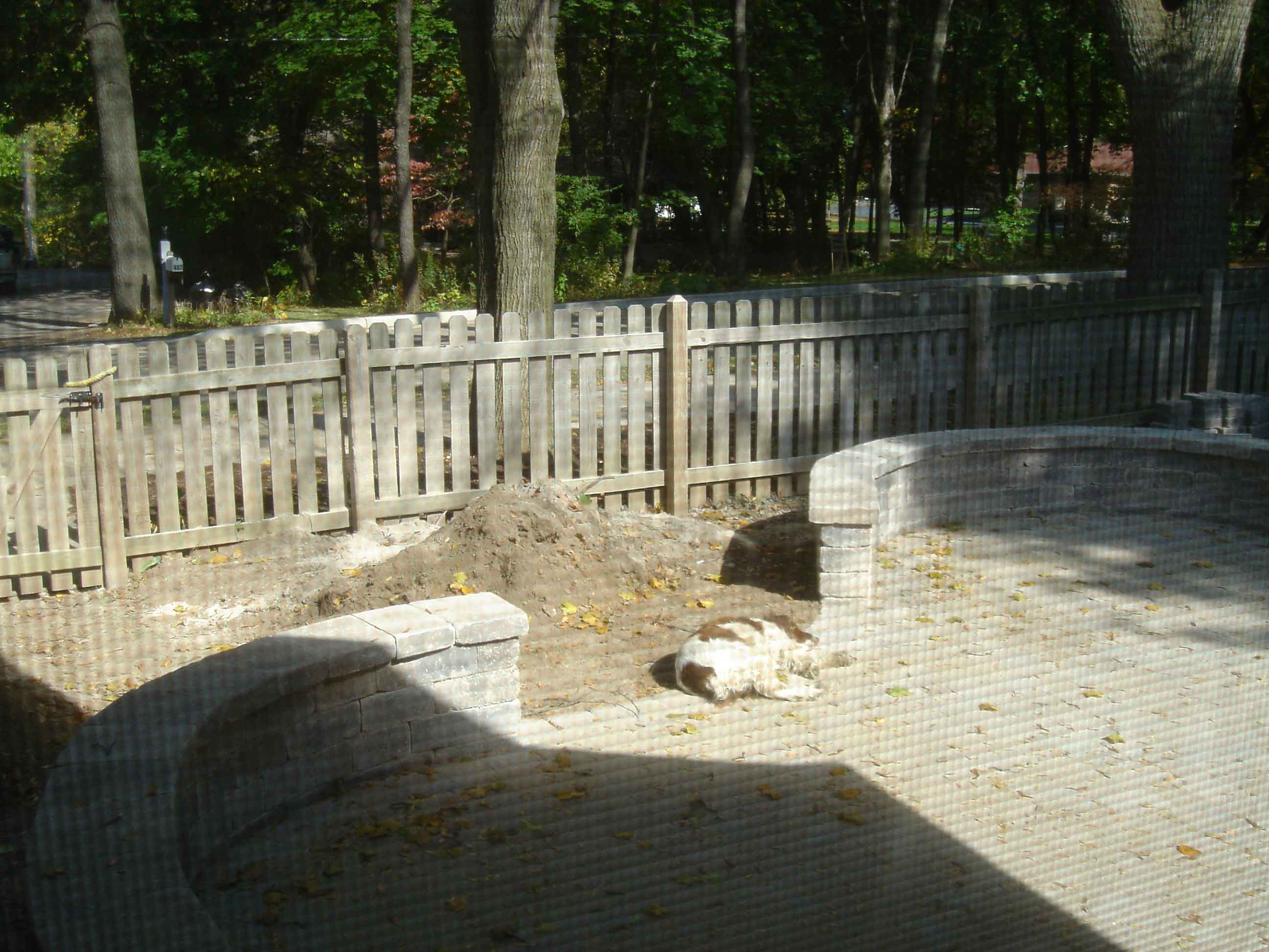 DSC01104