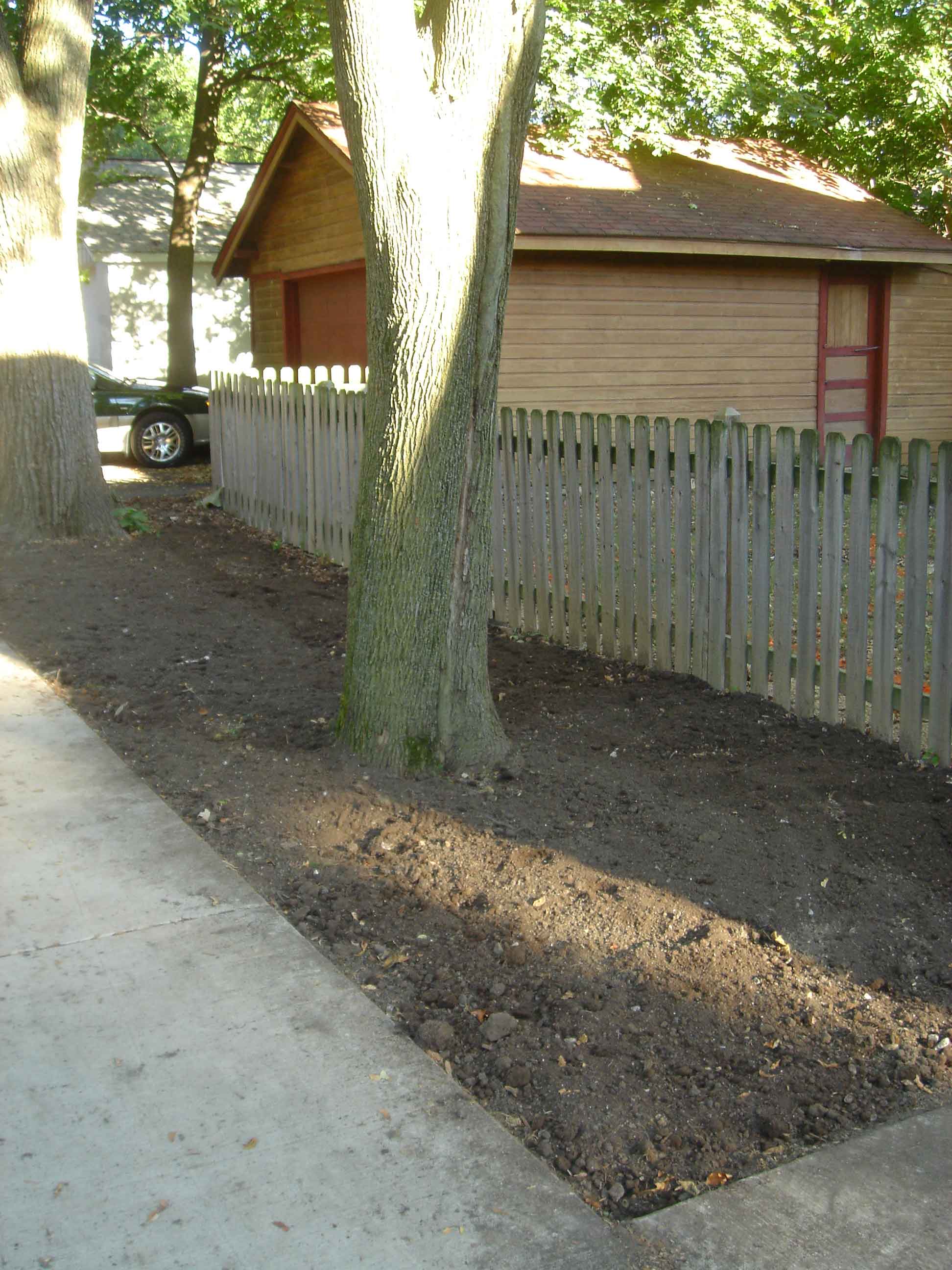 DSC00909