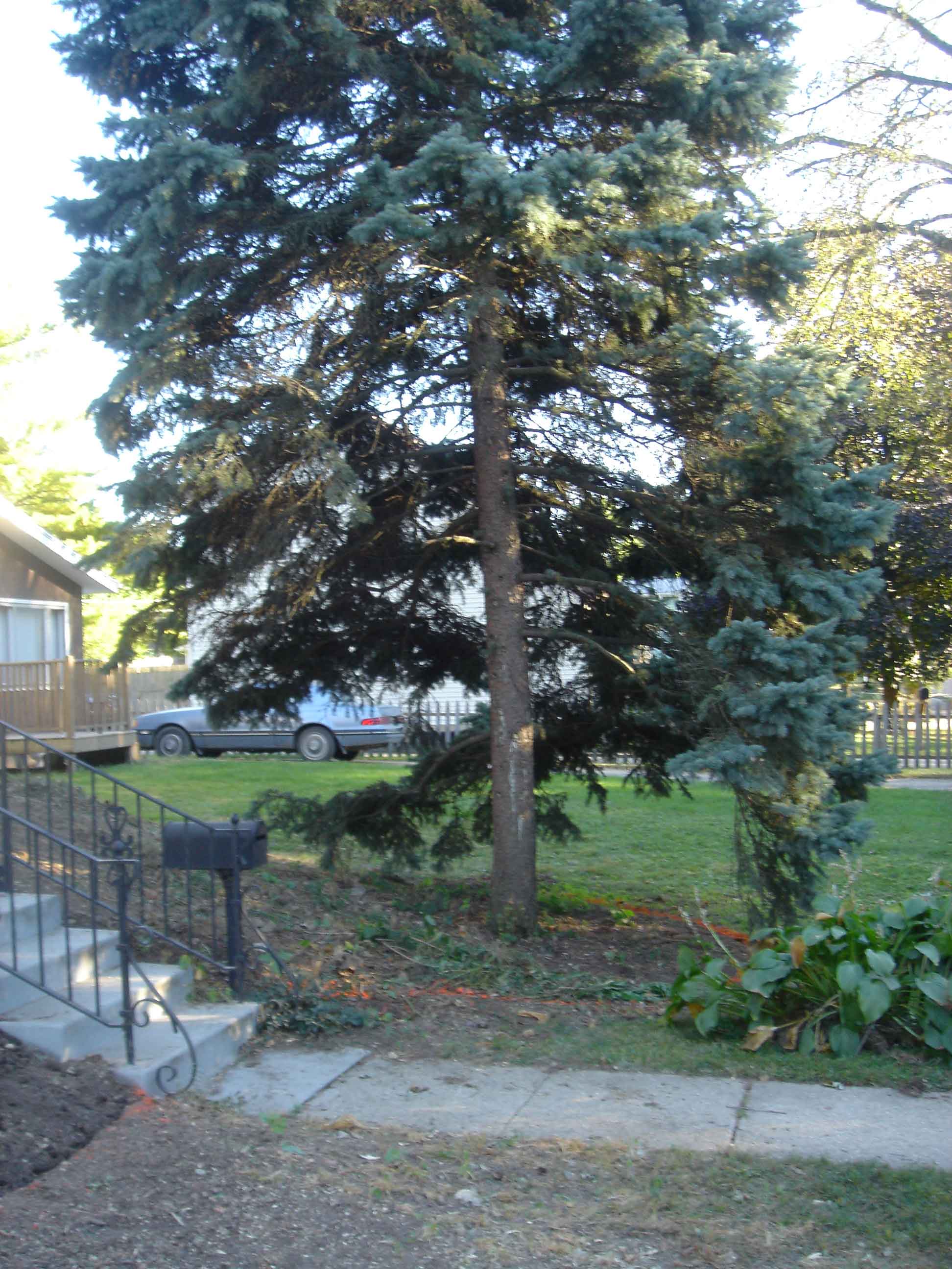 DSC00914