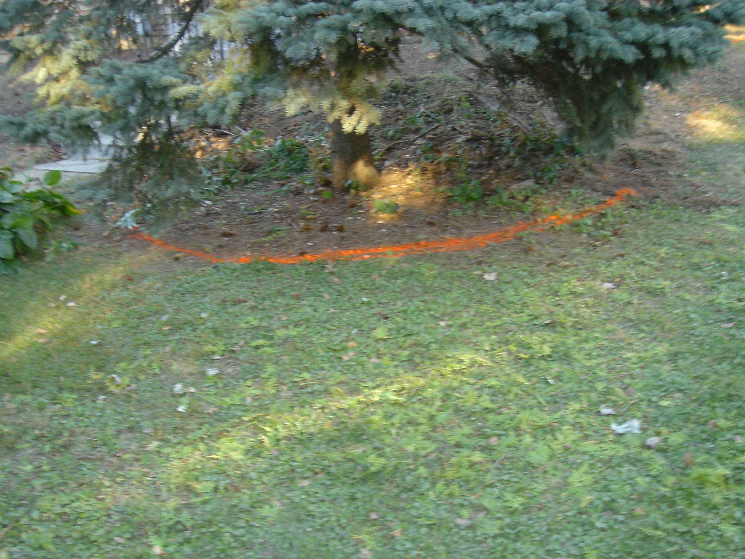 DSC00916