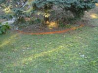 DSC00916