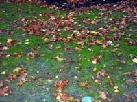 DSC01188