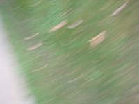DSC01268