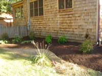 DSC00920