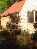 DSC00927