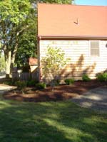 DSC00930