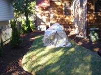 DSC00938