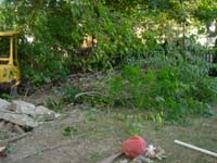 DSC00966