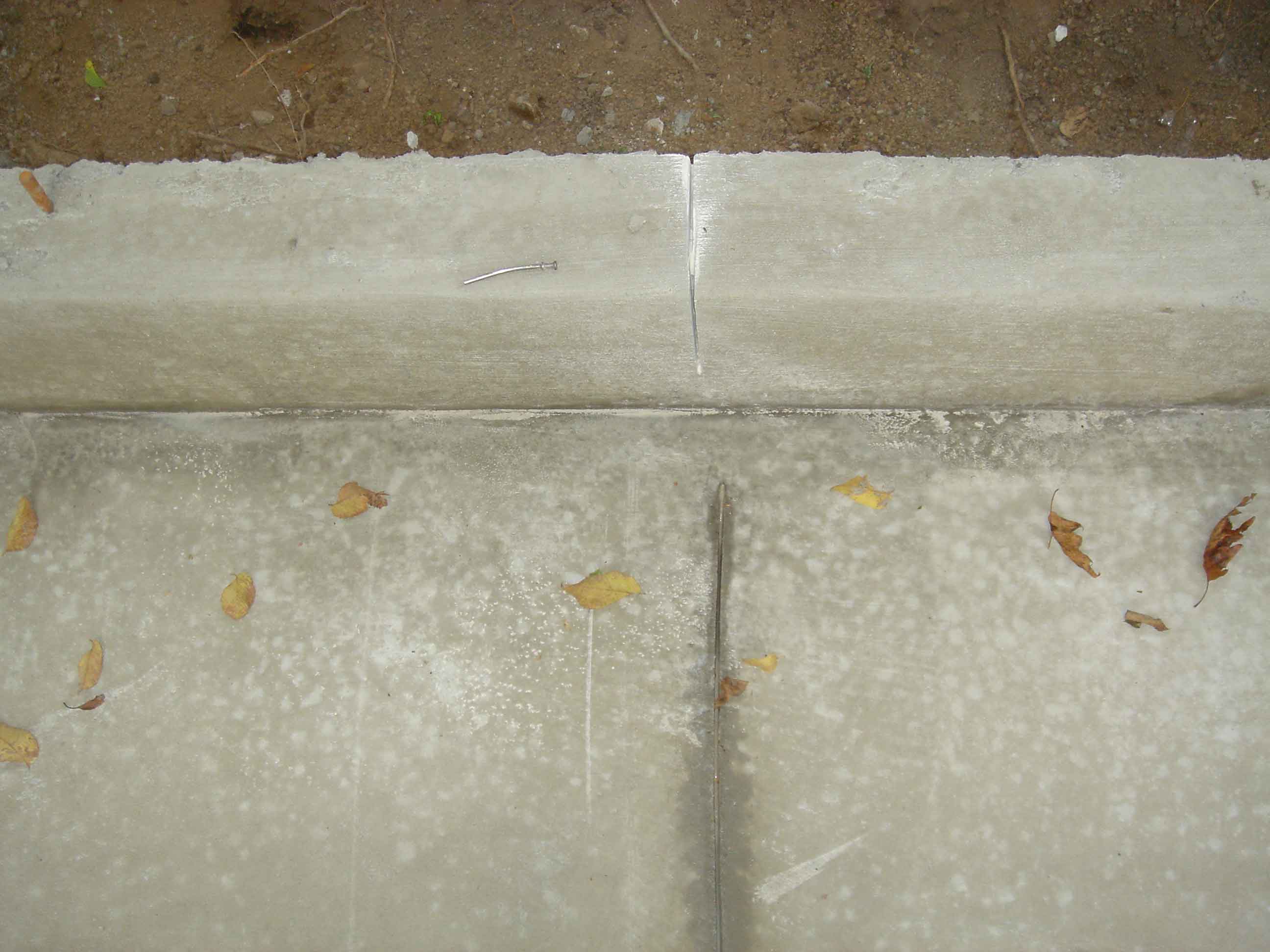 DSC01001