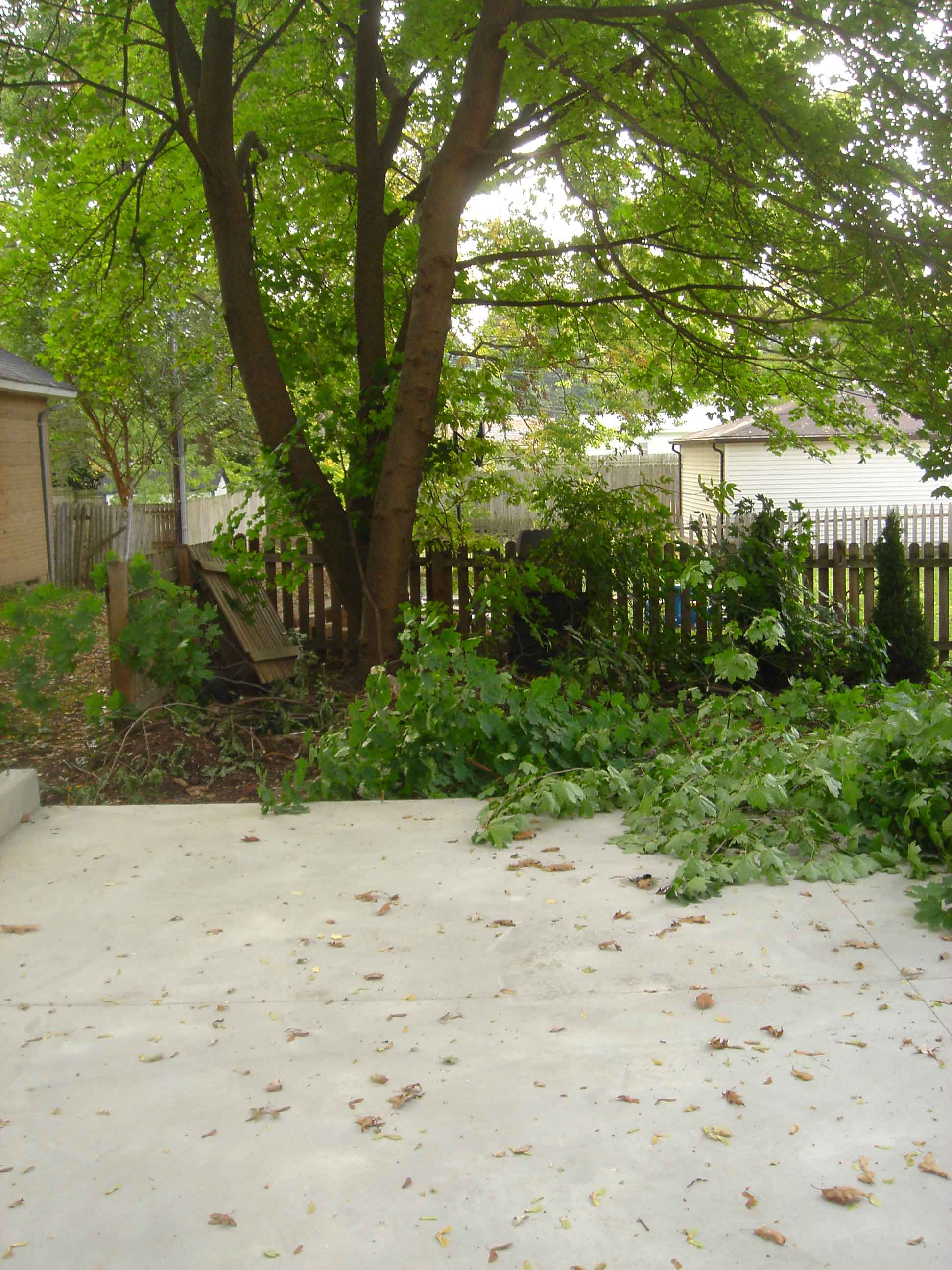DSC01015