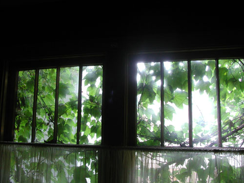 DSCN0939