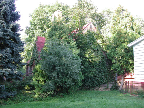 DSCN0950