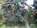 DSCN0948