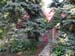 DSCN0949