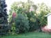 DSCN0950