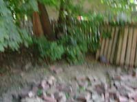 DSCN1778