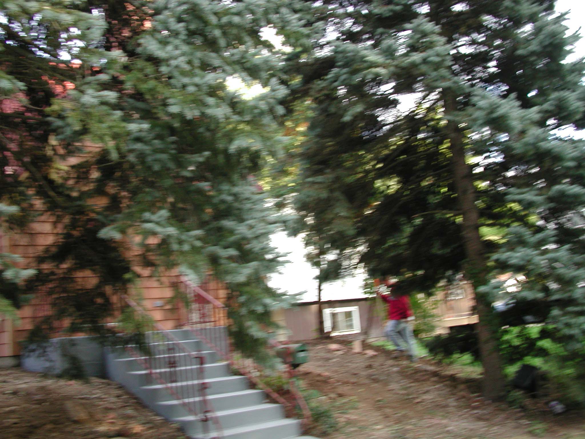 DSCN1796