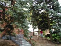 DSCN1796