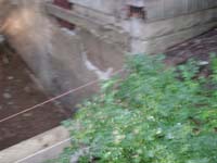 DSCN1441
