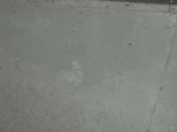 DSCN1537