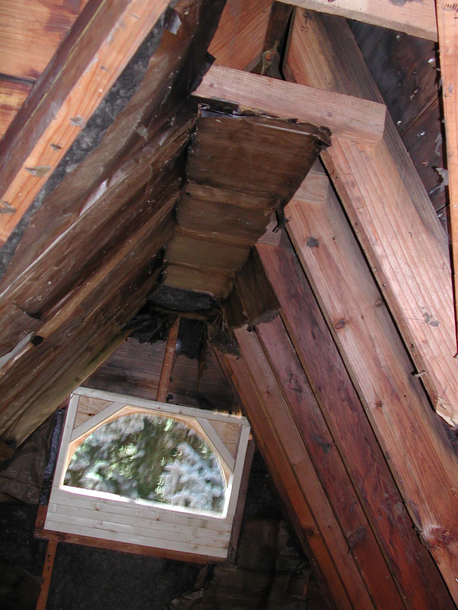 DSCN1630