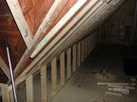 DSCN1649