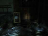 DSCN1661