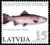 Stamp picture