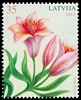 Stamp picture