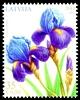 Stamp picture