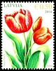 Stamp picture