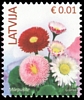 Stamp picture