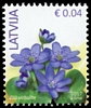 Stamp picture