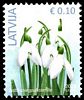 Stamp picture