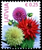 Stamp picture