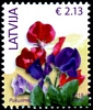 Stamp picture