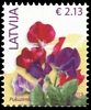 Stamp picture