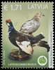 Stamp picture