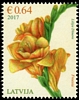 Stamp picture