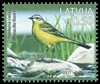 Stamp picture