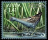 Stamp picture